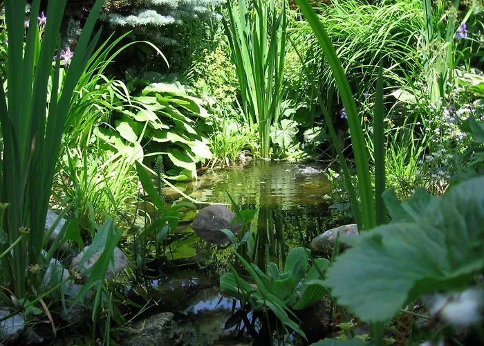 Naturkraeuterhaus Eder