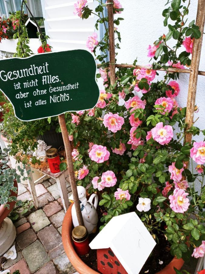 Naturkraeuterhaus Eder Iselsberg