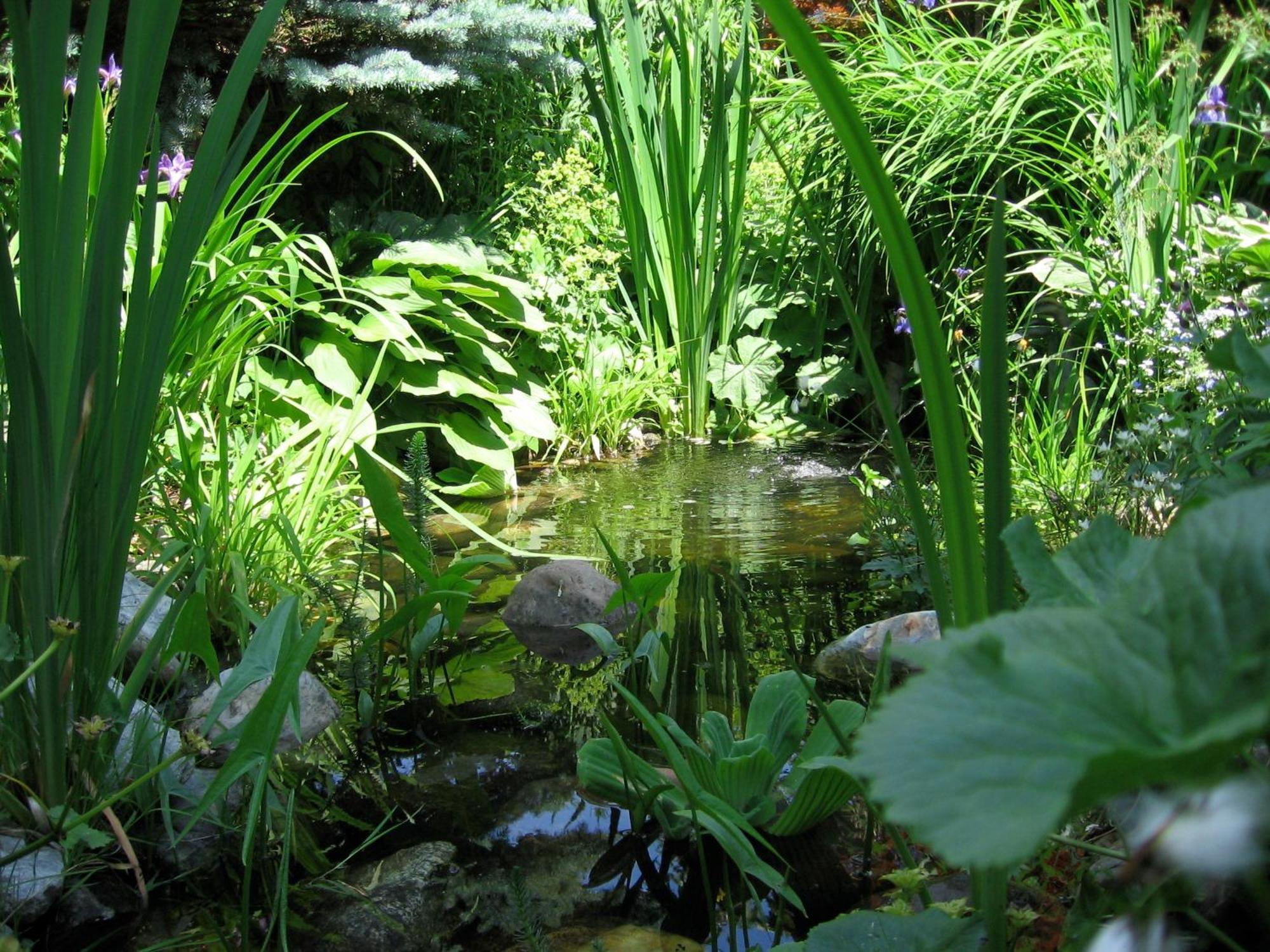 Naturkraeuterhaus Eder Apartamento Iselsberg